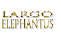 LARGO ELEPHANTUS